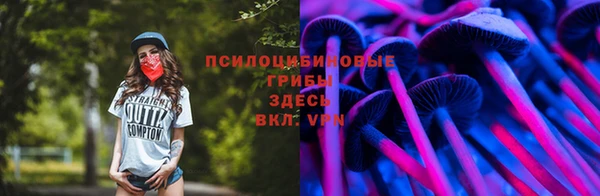 Альфа ПВП Арсеньев
